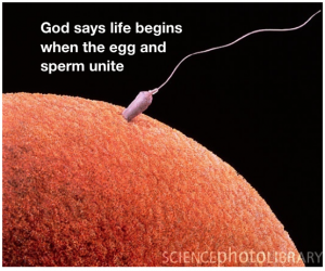 graphic stating that God says life begins when the egg and sperm unite