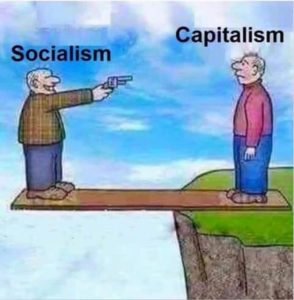 Capital-vs-Social-cartoon-294x300.jpg
