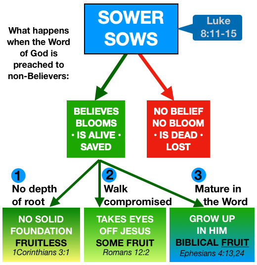 Sower Sows
