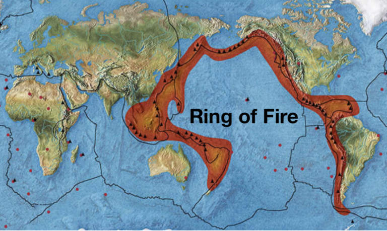 The Coming Shake, Rattle and Roll - Compass International